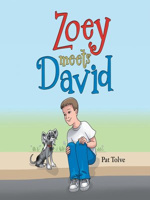 cover image of Zoey Meets David
